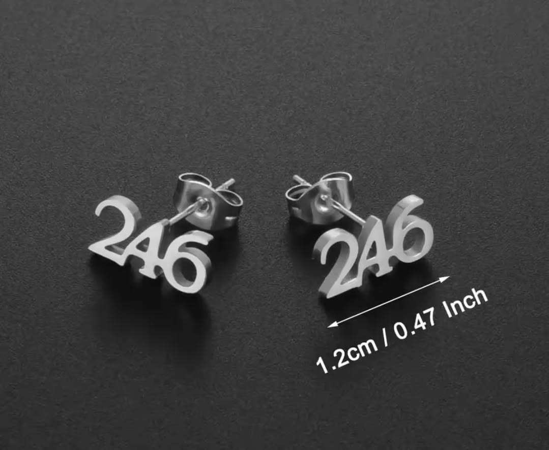 246 Stainless Steel or Gold Studs – $25.00 for the Month of July
