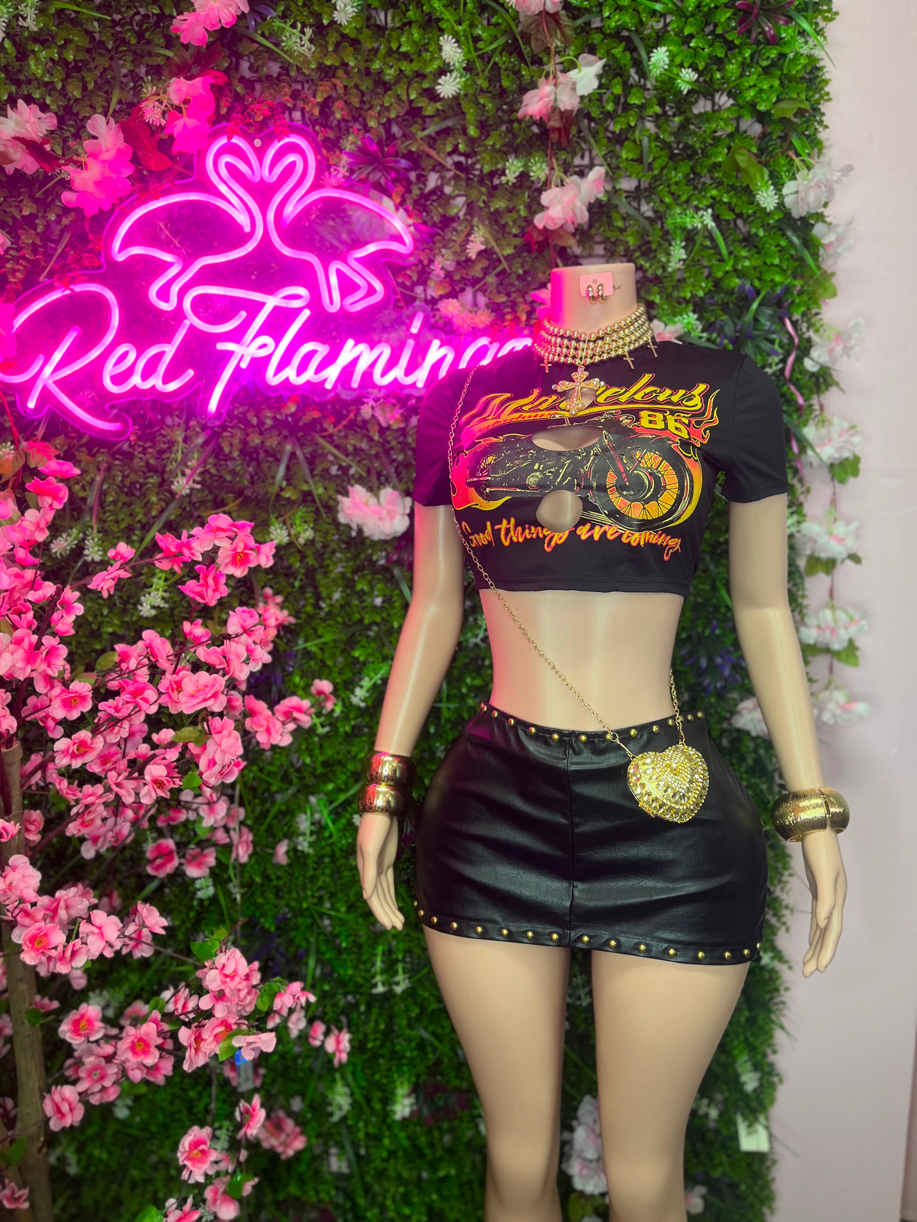 Ivy Black Leather Studded Mini Skirt & Biker Crop Top – Priced from $50