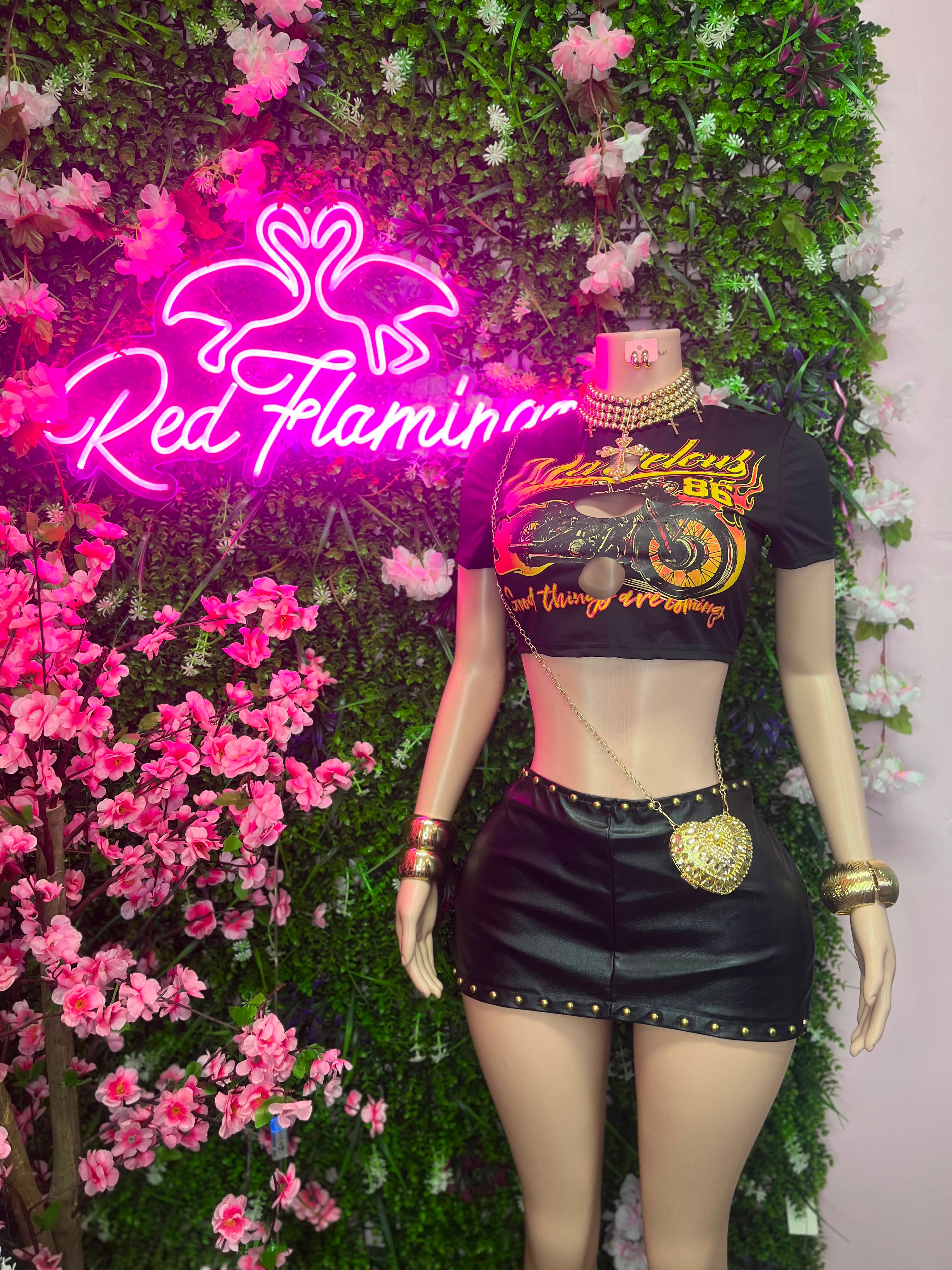 Ivy Black Leather Studded Mini Skirt & Biker Crop Top – Priced from $50