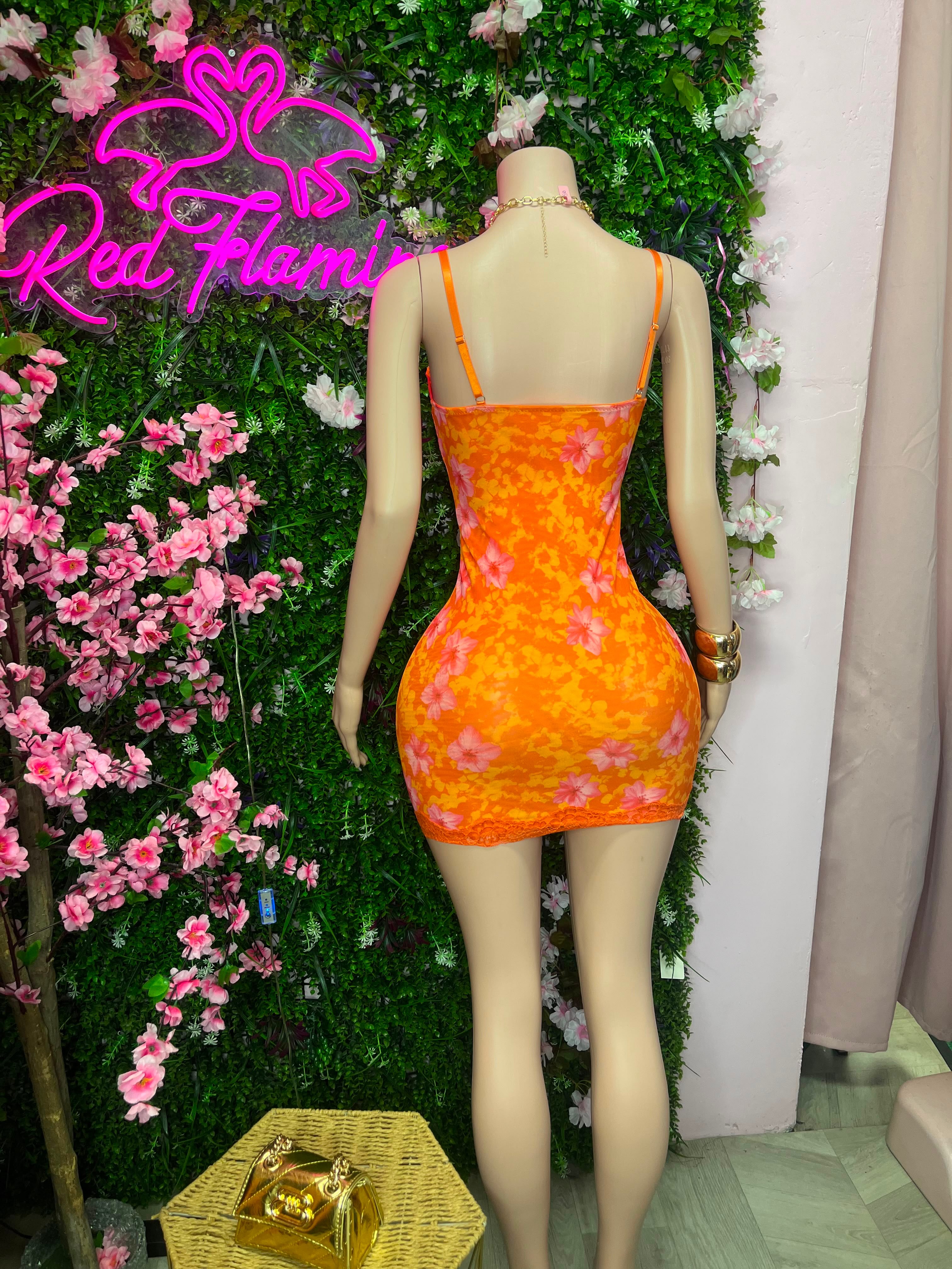 Dearra Orange Mini Lace Dress – $75 at Red Flamingo