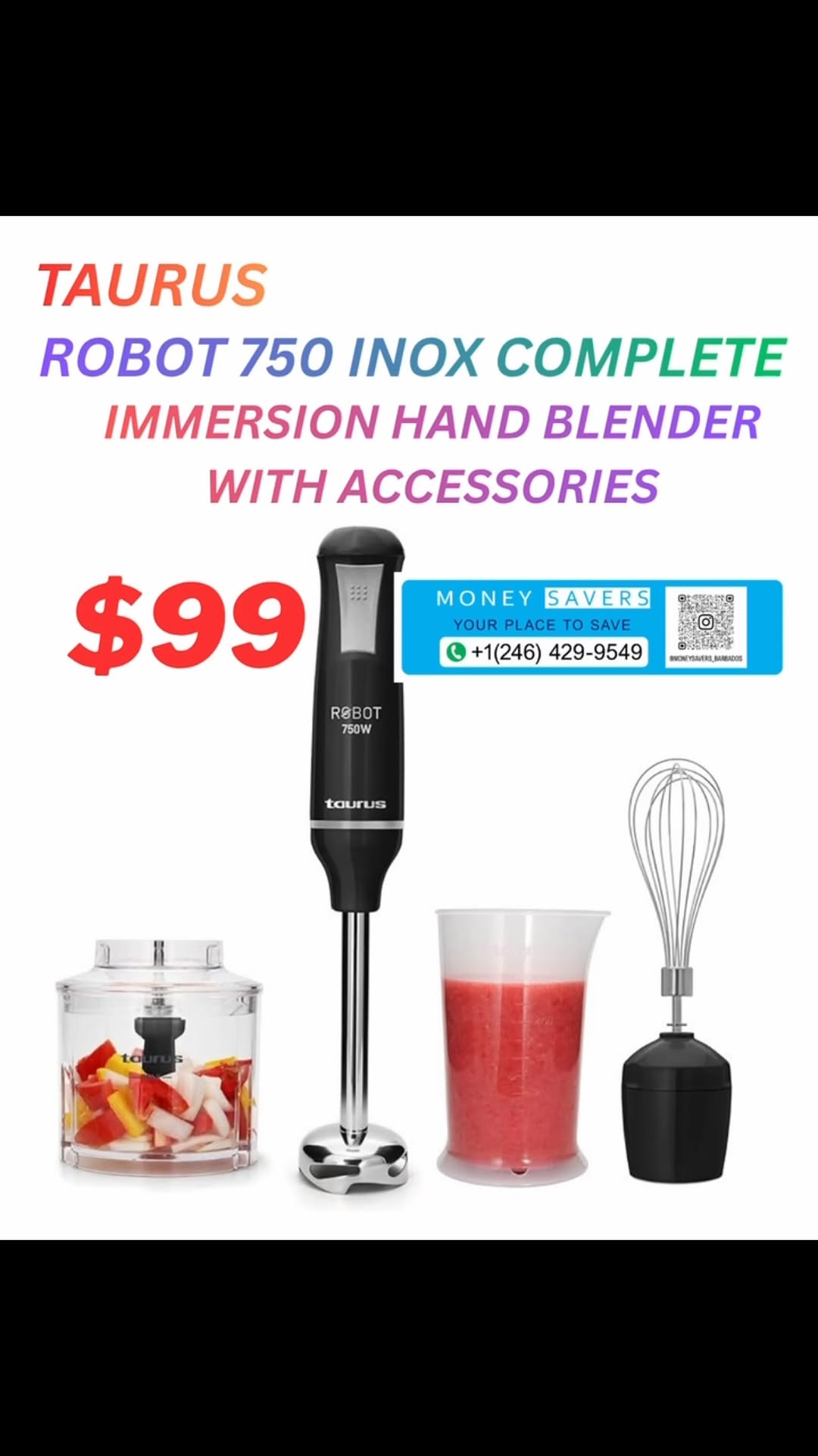 Taurus Robot 750 Inox Complete Immersion Hand Blender with Accessories – $99