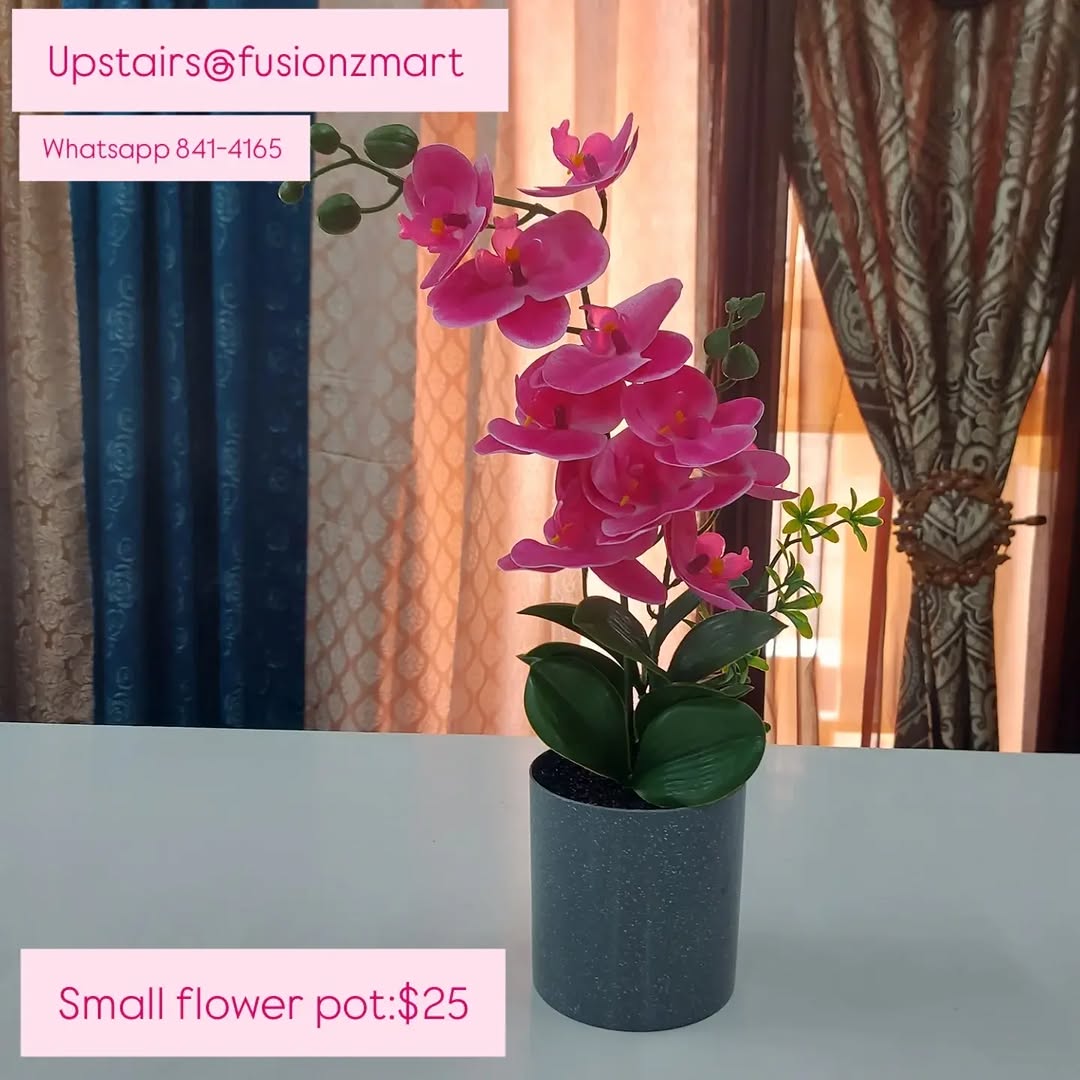 Artificial Grass Mats & Decorative Flowers – Prices from $25