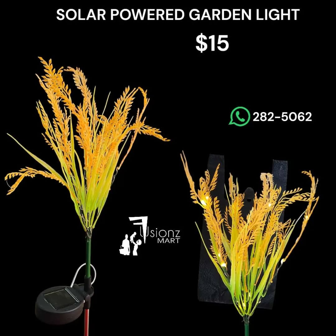 Solar Powered Garden Lights – $15 at Fusionz Mart
