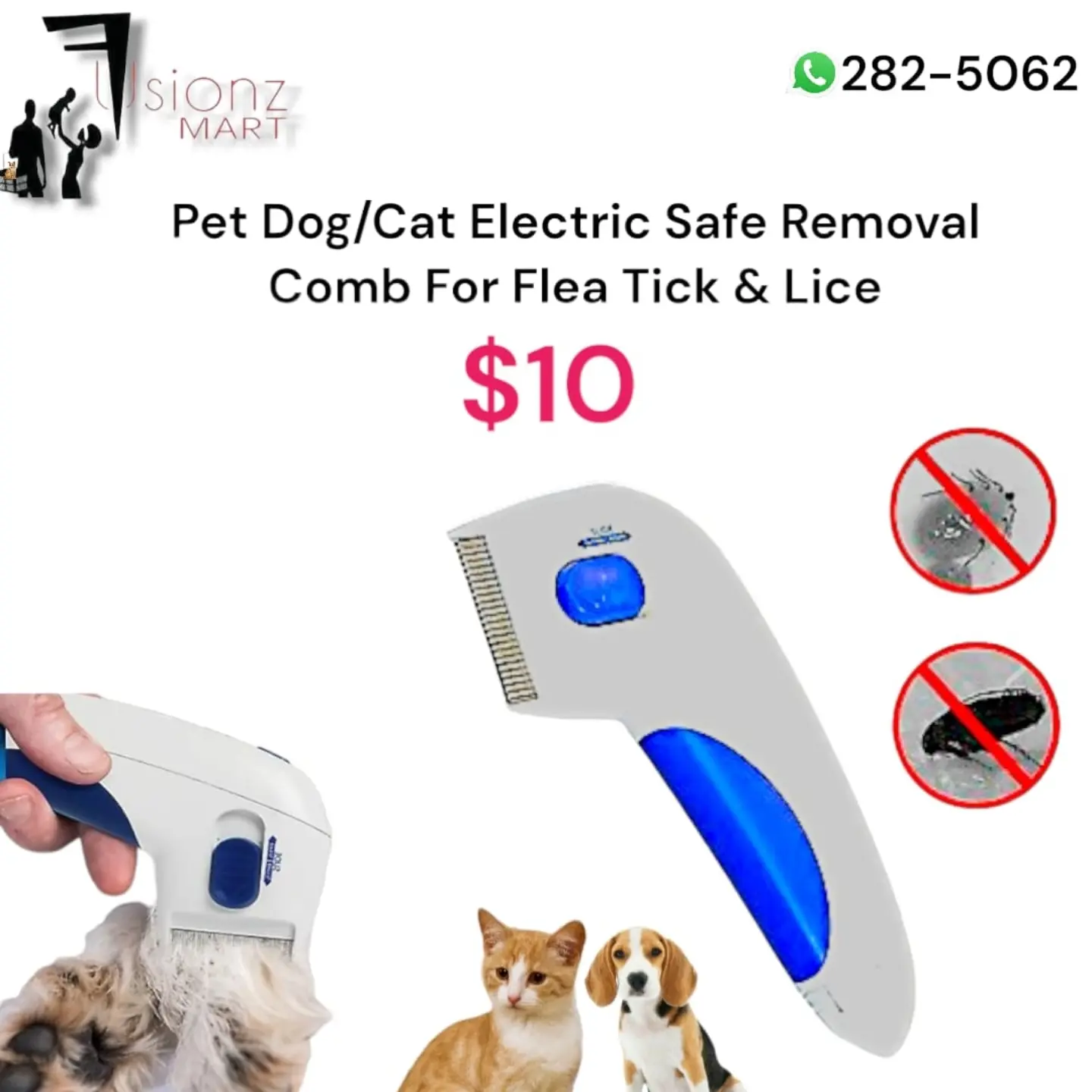 Pet Items Available at Fusionz Mart – Interactive Dispensers, Chew Toys & More