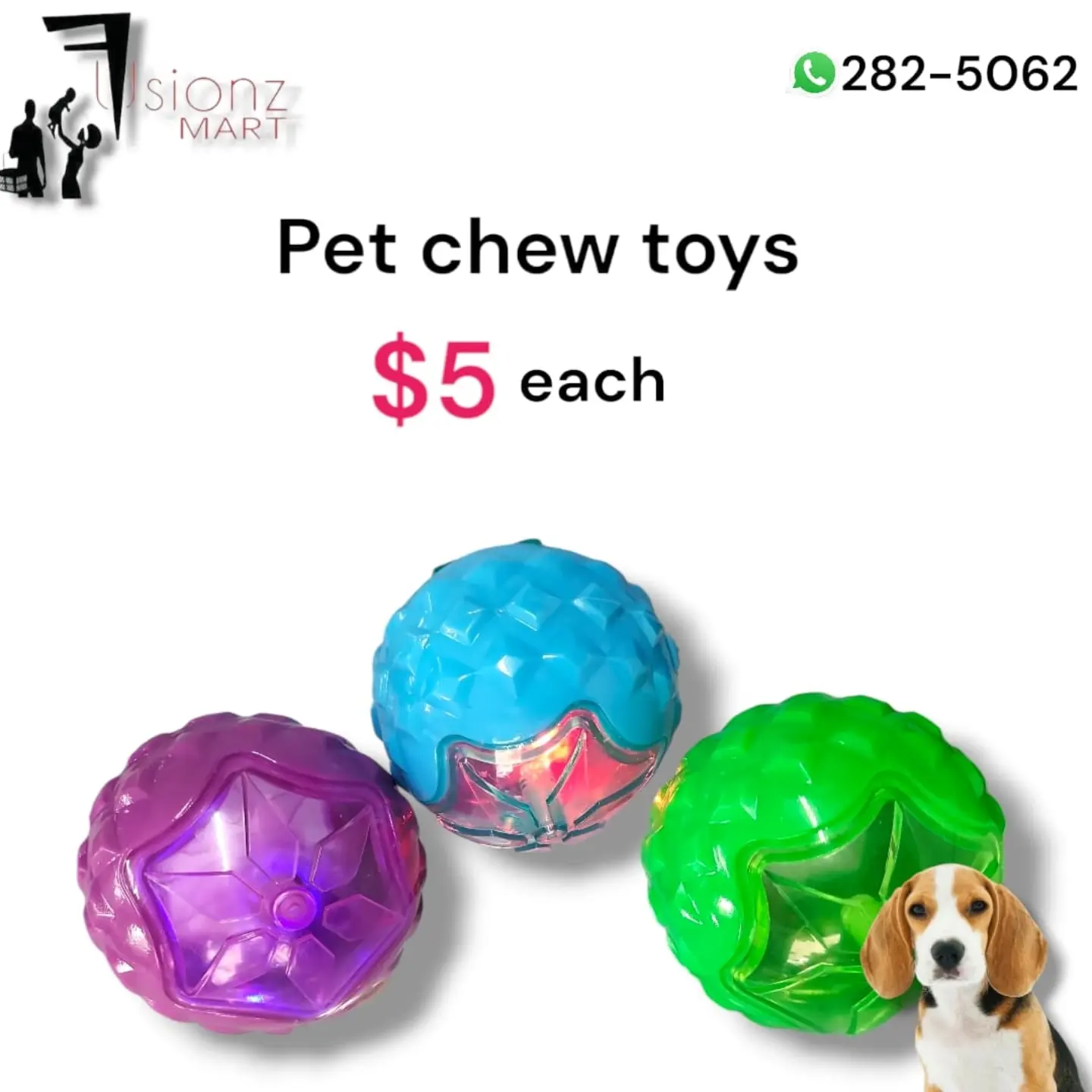 Pet Items Available at Fusionz Mart – Interactive Dispensers, Chew Toys & More
