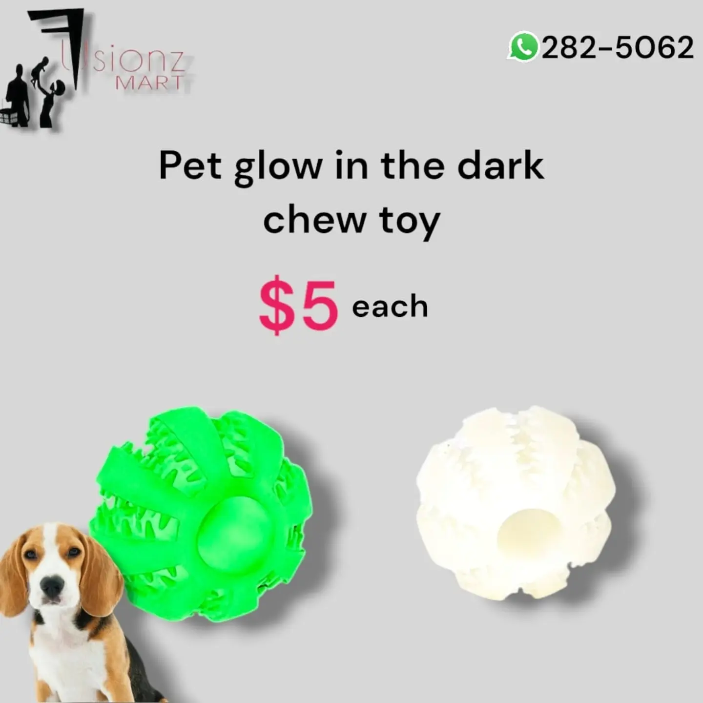 Pet Items Available at Fusionz Mart – Interactive Dispensers, Chew Toys & More