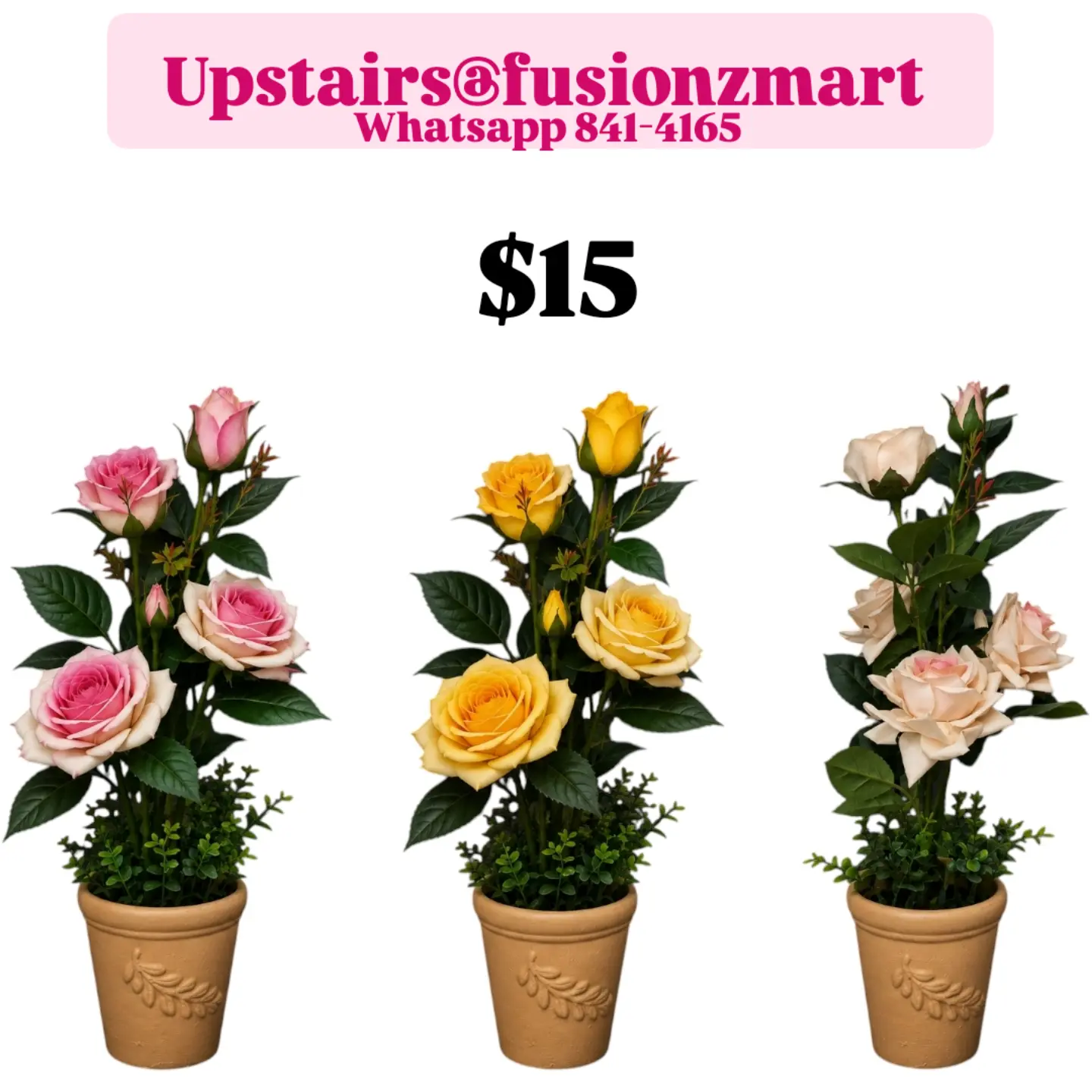 Artificial Plants & Flowers Available at Fusionz Mart