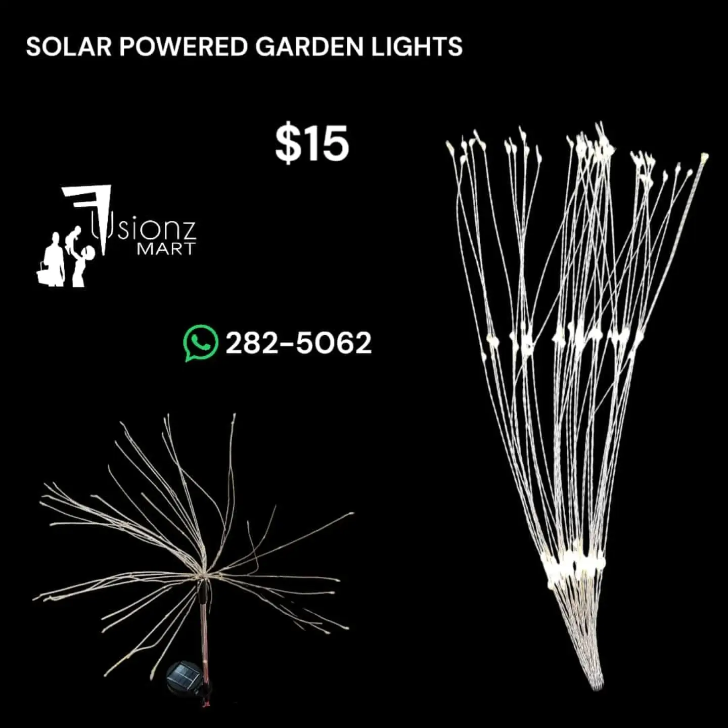 Solar Powered Garden Lights – $15 at Fusionz Mart