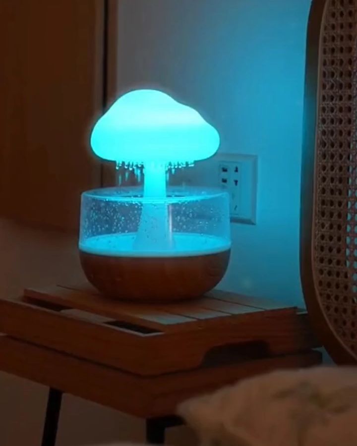 Cloud Rain Humidifier – Only $49 at H&Y Home Depot