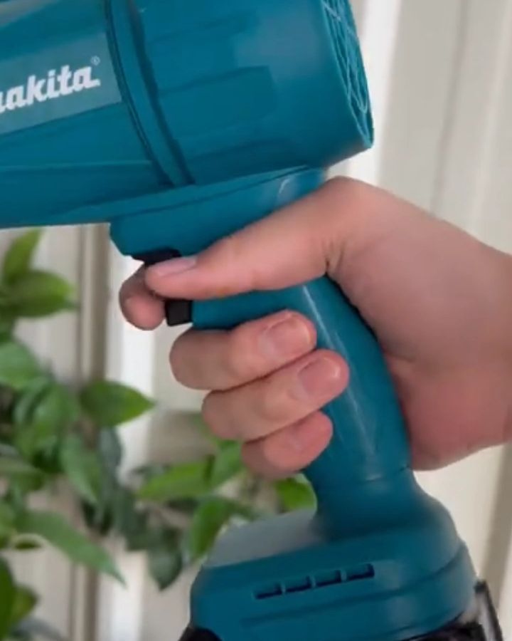 Royal 48V Commercial Cordless Blower – $170 at H&Y Home Depot