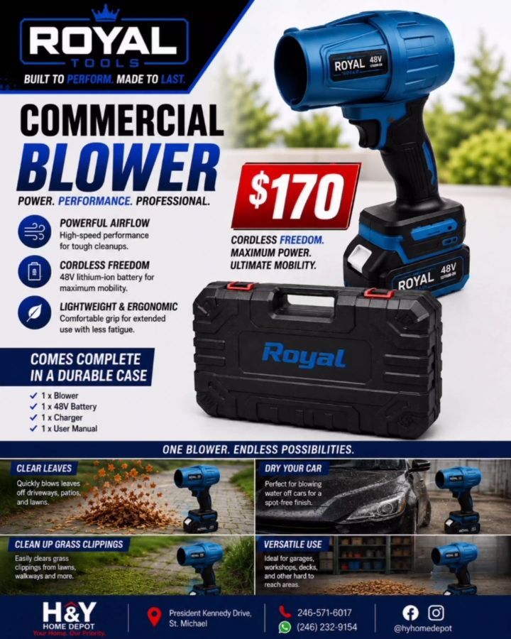 Royal 48V Commercial Cordless Blower – $170 at H&Y Home Depot