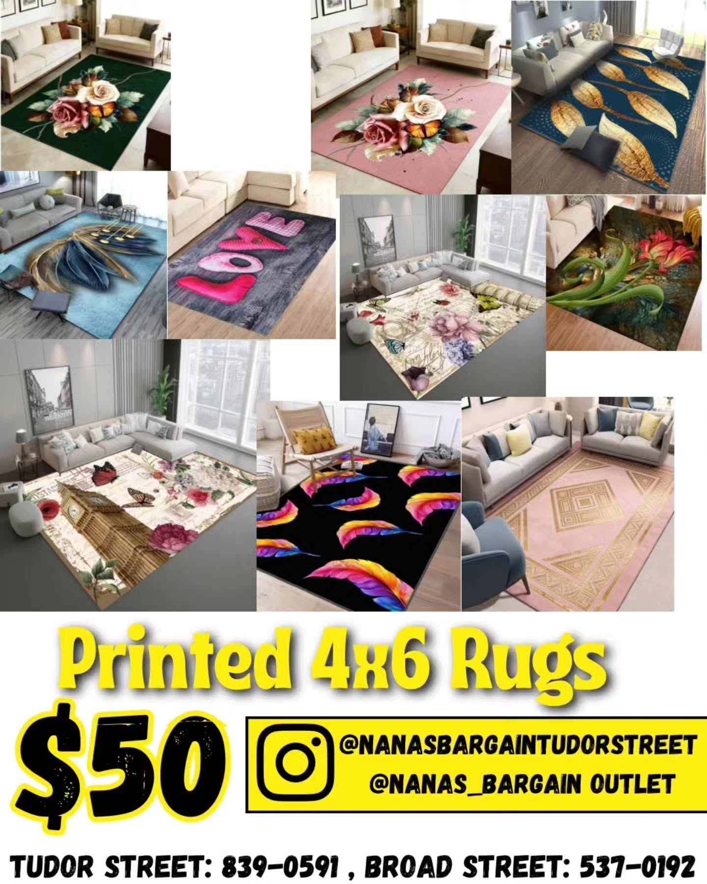 Printed 4x6 Rugs – $50 at Nana's Bargain Outlet