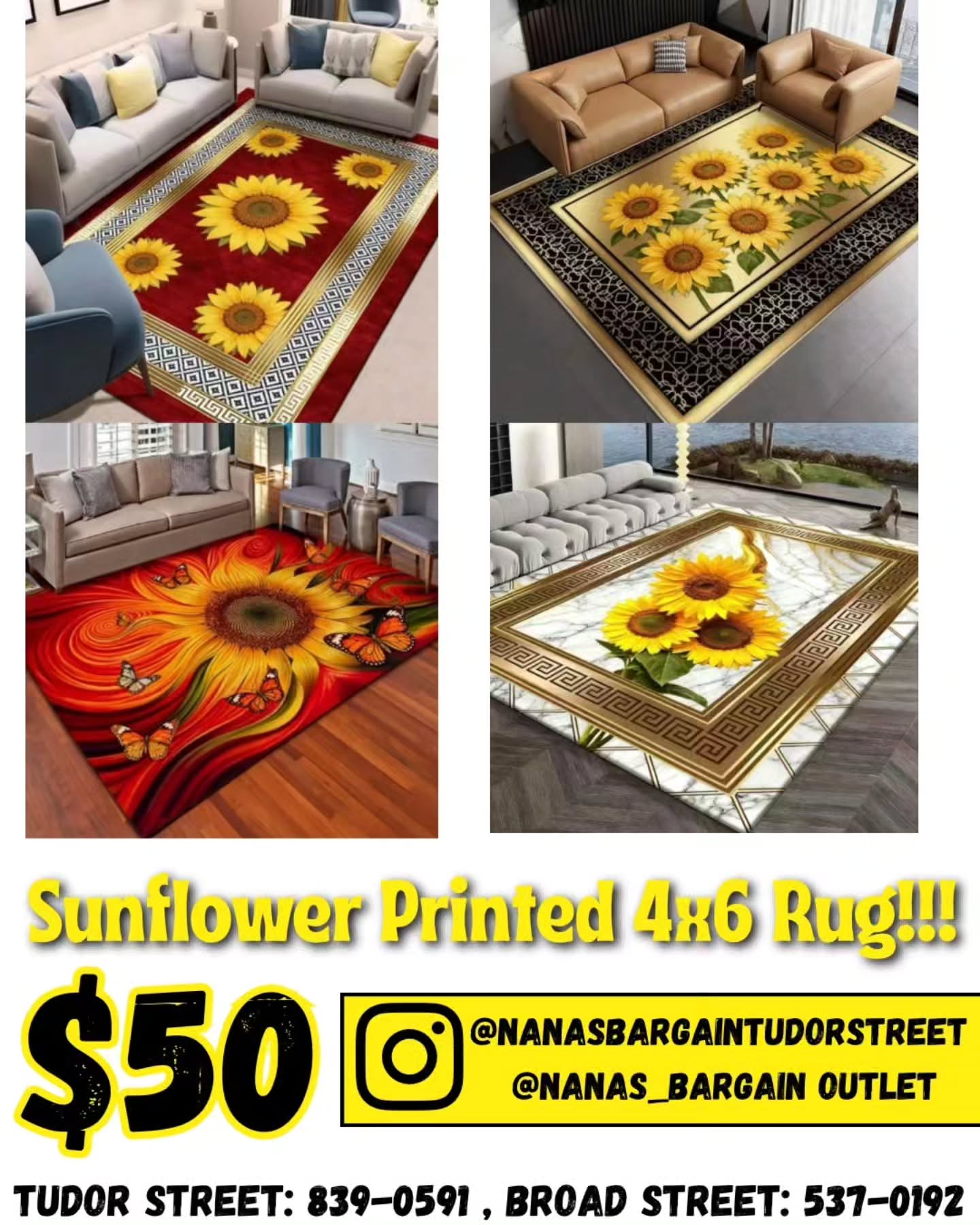 Printed 4x6 Rugs – $50 at Nana's Bargain Outlet