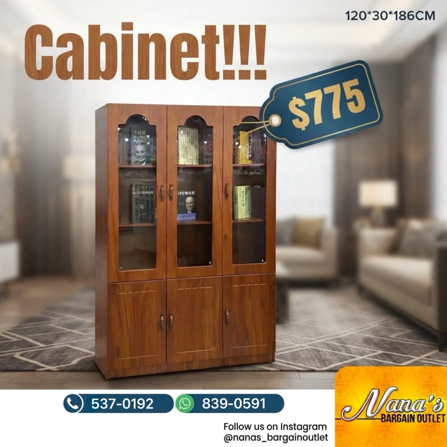 Cabinet – $775 at Nana's Bargain Outlet
