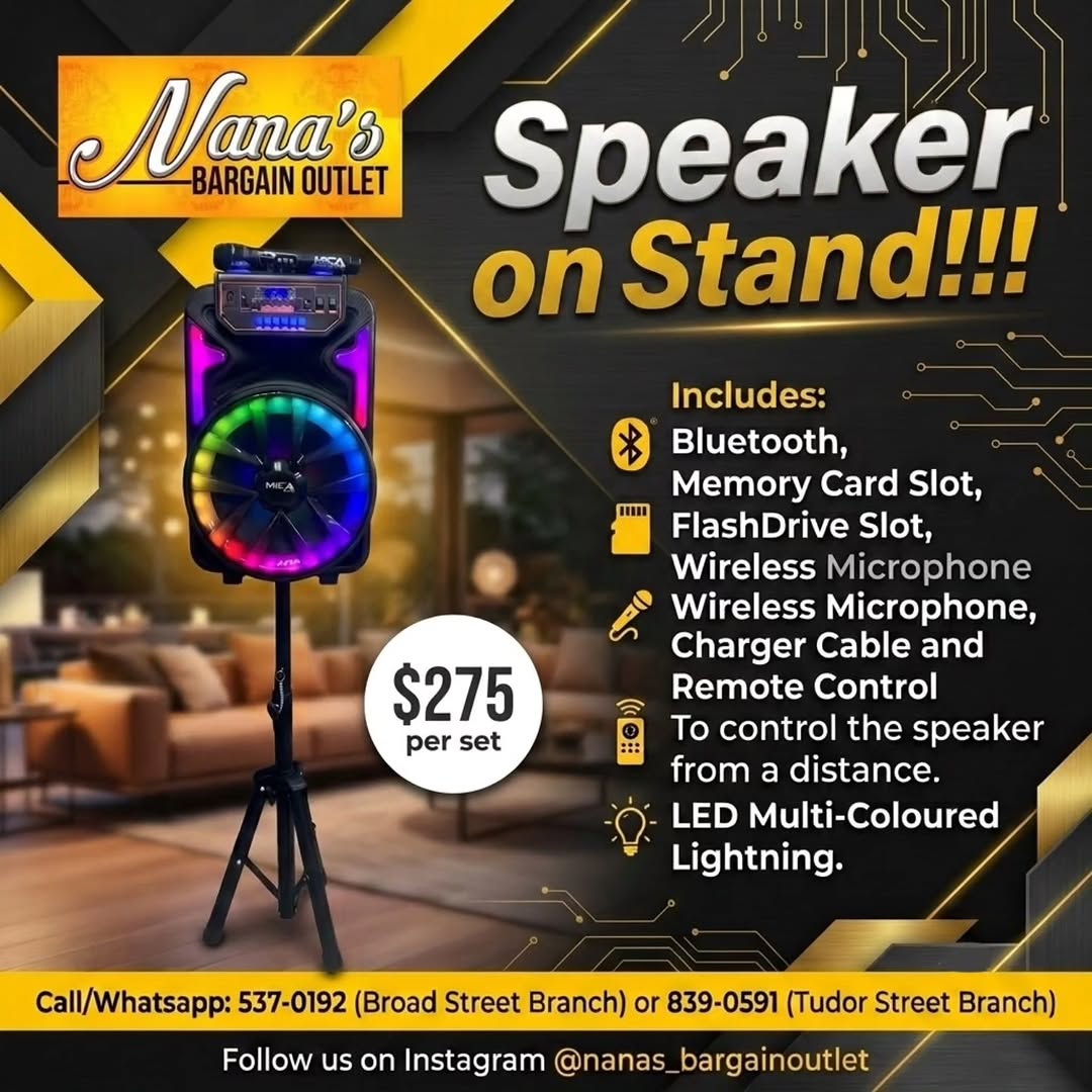 Speaker on Stand – $275 per Set at Nana's Bargain Outlet