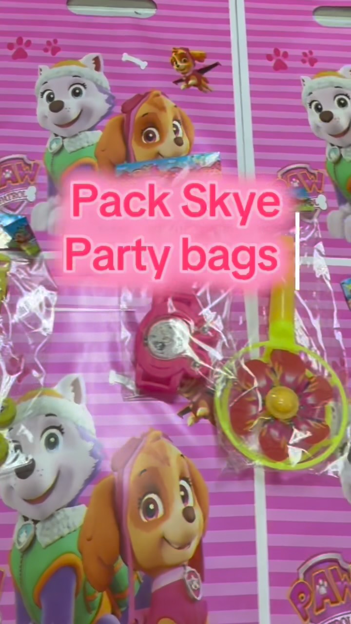 PAW Patrol Skye Themed Party Bags & Favors