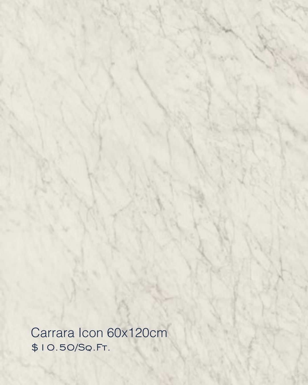 New Arrival: Carrara Icon 60x120cm Tile at $10.50/sq. ft.