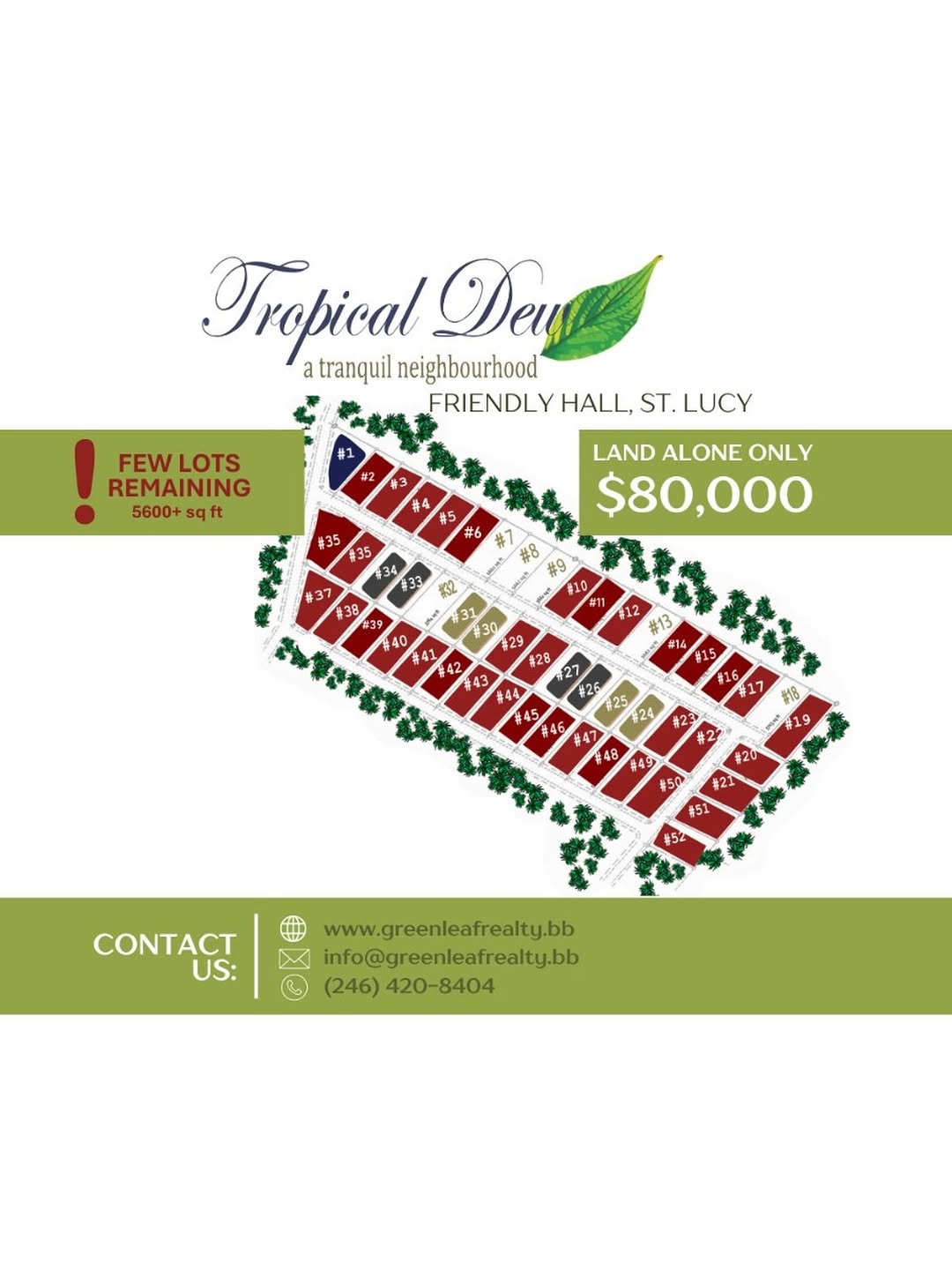 Land for Sale at Tropical Dew, Friendly Hall, St. Lucy – From $80,000