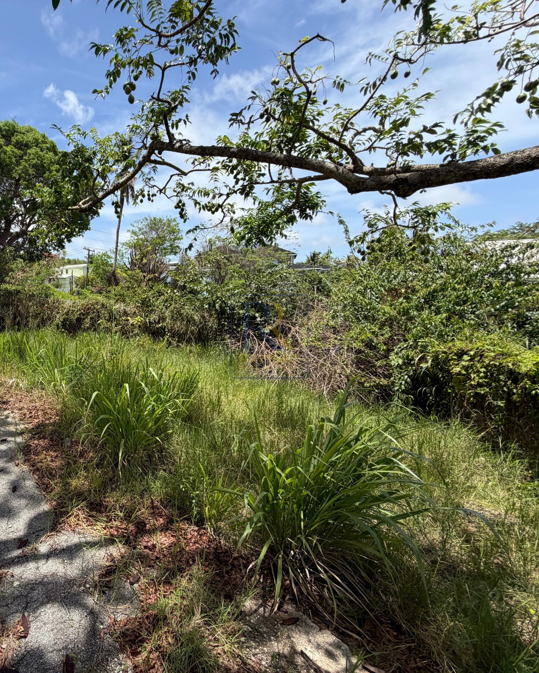 Land For Sale – Lot 9, Rose Cottage, Gun Hill, St. George | BBD $160,000