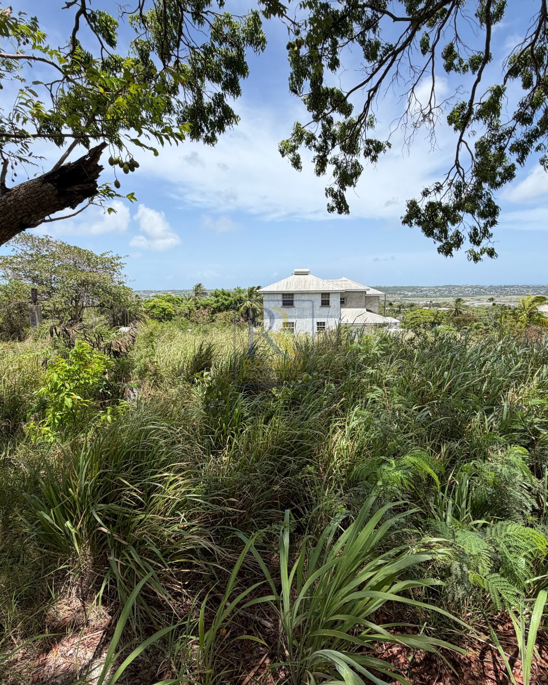 Land For Sale – Lot 9, Rose Cottage, Gun Hill, St. George | BBD $160,000