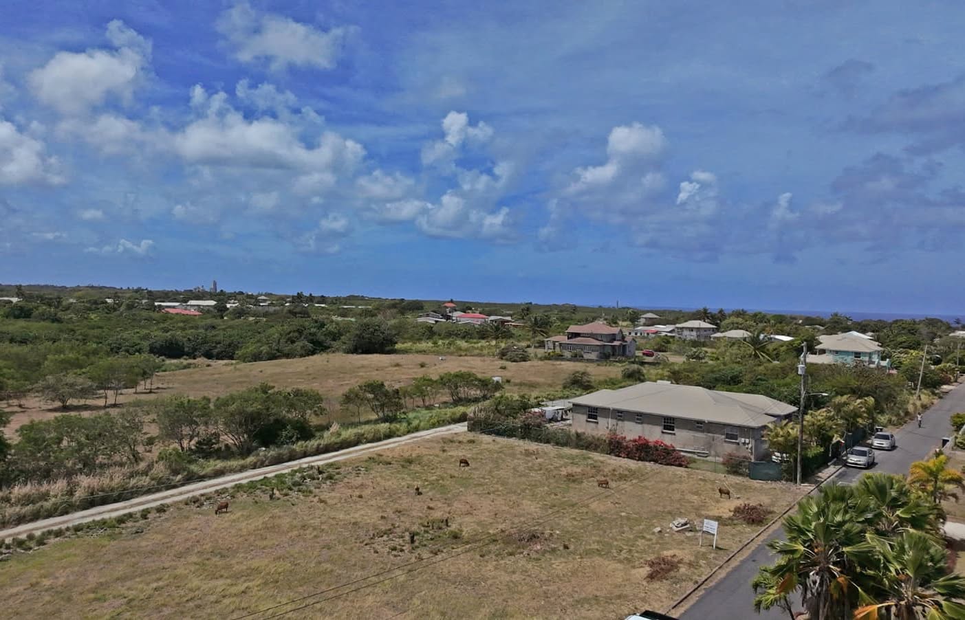 Land For Sale – Crab Hill Development, St. Lucy | $62,500 USD