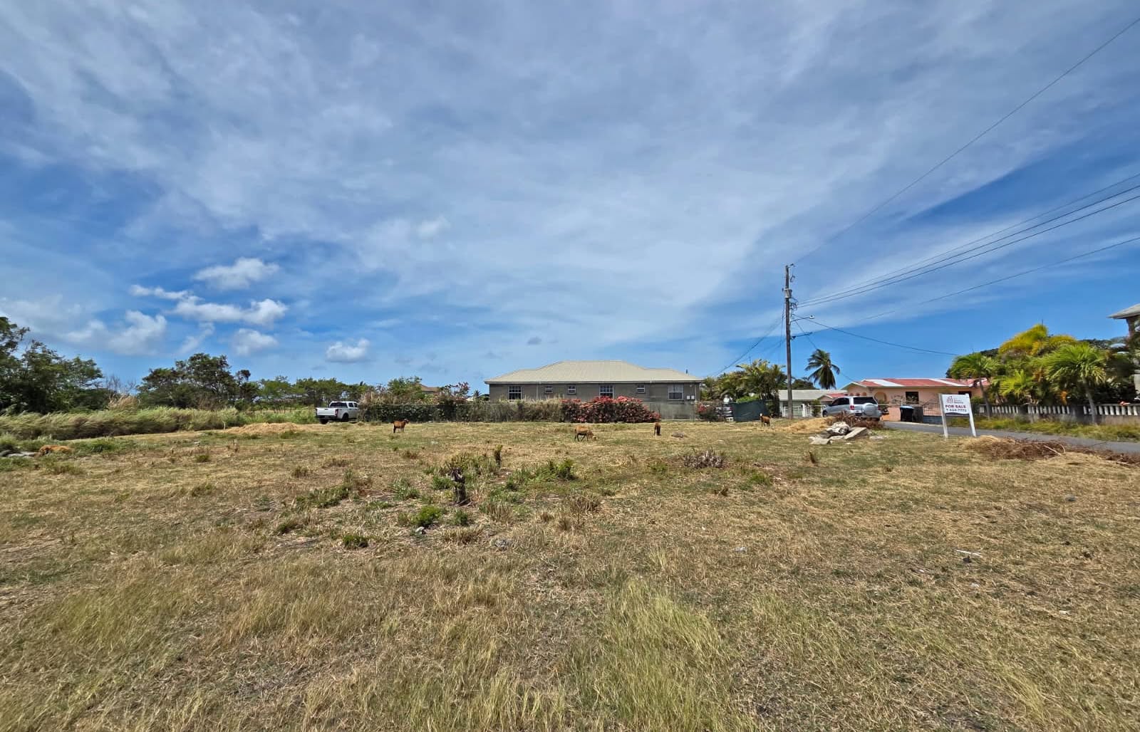 Land For Sale – Crab Hill Development, St. Lucy | $62,500 USD
