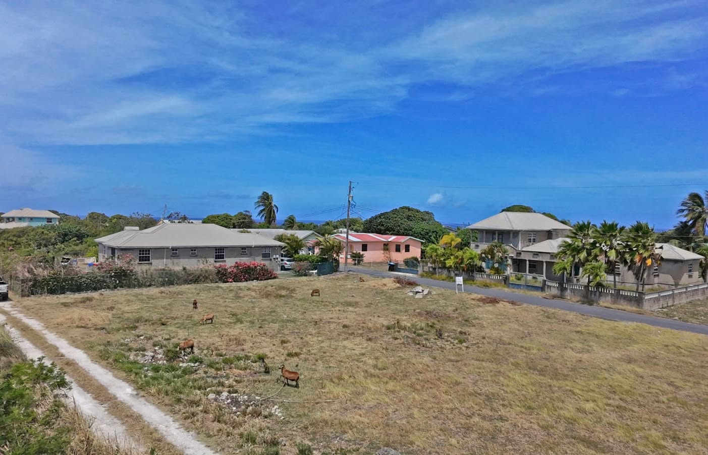 Land For Sale – Crab Hill Development, St. Lucy | $62,500 USD