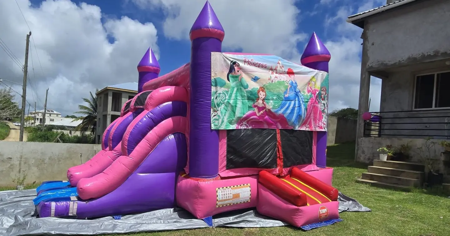 Pink Jumping Tent Rentals – Double Slide from $350 | Xquisite Events by Cam