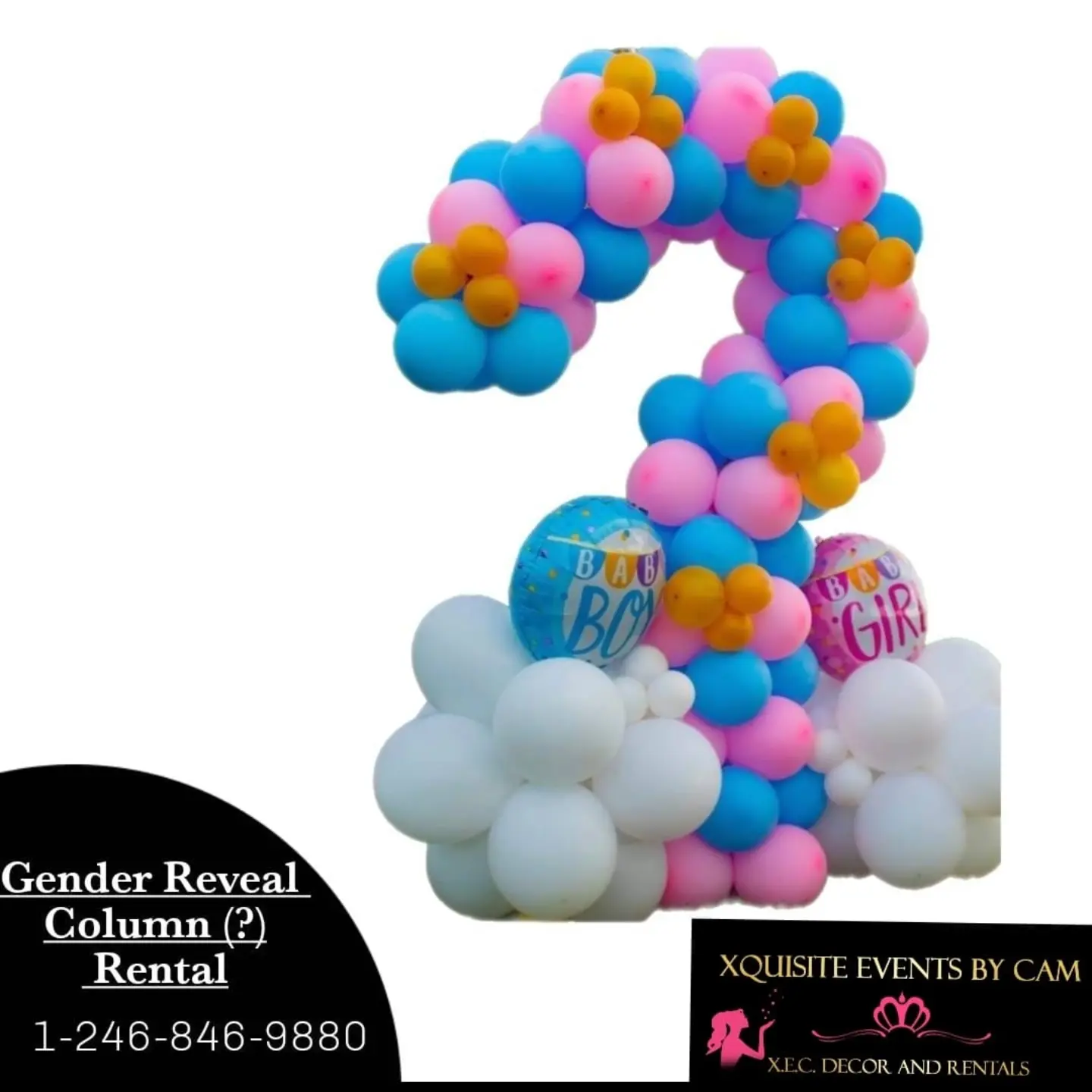 Gender Reveal Column (?) Rental – 5ft Wood Column from $50