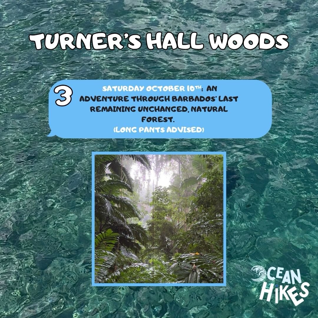 Ocean Hikes October Schedule – 9 Guided Nature Hikes at $50 BDS Per Person