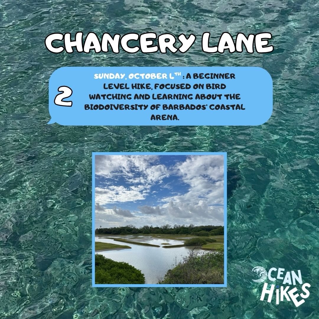 Ocean Hikes October Schedule – 9 Guided Nature Hikes at $50 BDS Per Person
