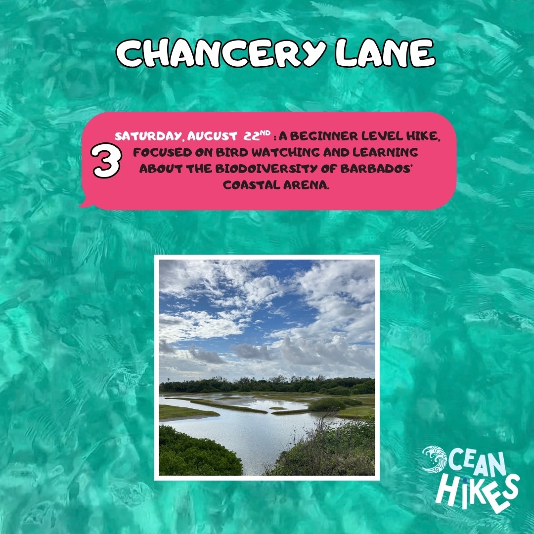Ocean Hikes August Schedule – Guided Nature Hikes at $50 BDS Per Person