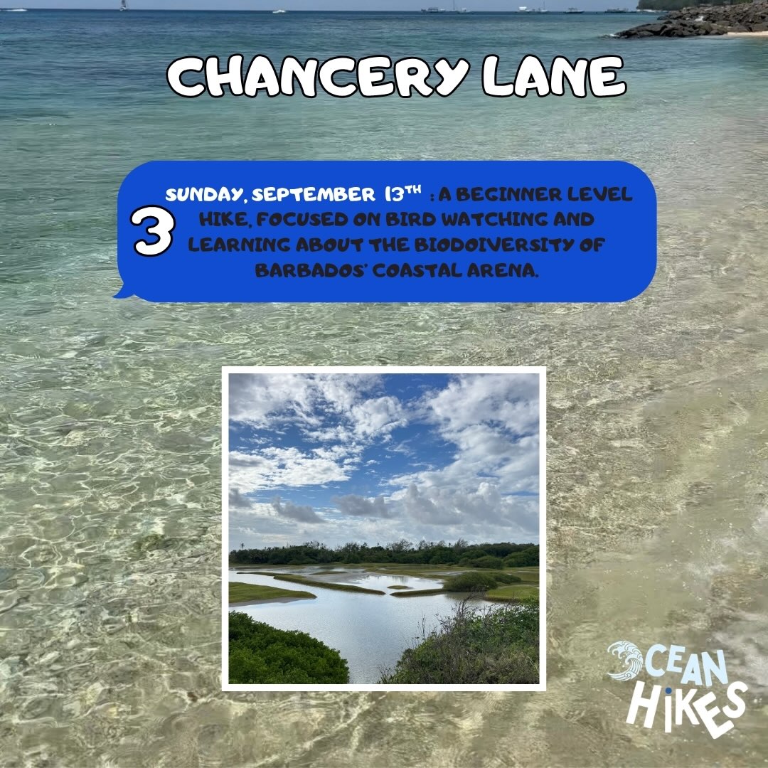 Ocean Hikes September Schedule – Guided Nature Hikes at $50 BDS Per Person