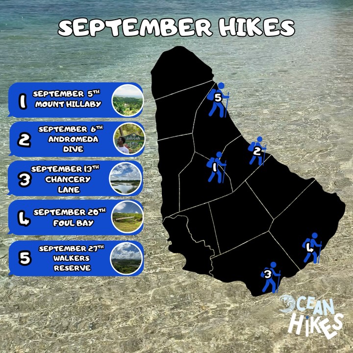 Ocean Hikes