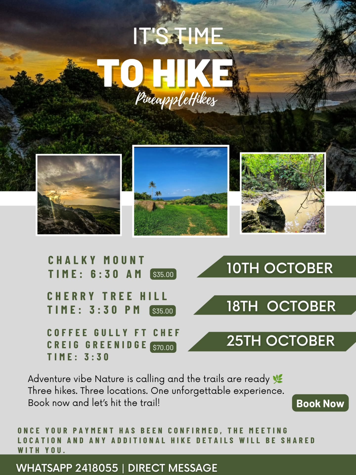 PineappleHikes October Hikes: Chalky Mount, Cherry Tree Hill & Coffee Gully
