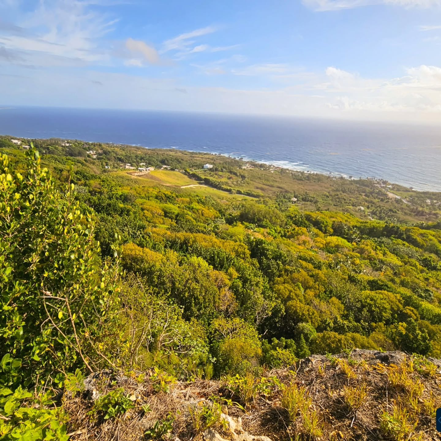 Hackletons Cliff Hike – St. John, Barbados
