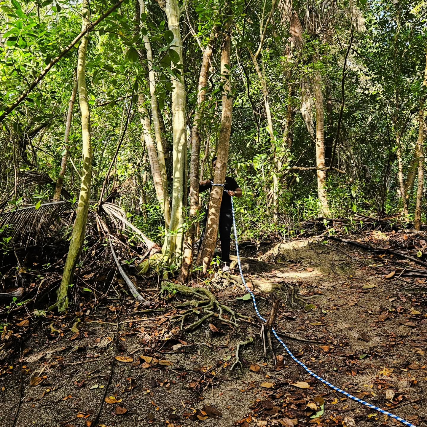 Hackletons Cliff Hike – St. John, Barbados