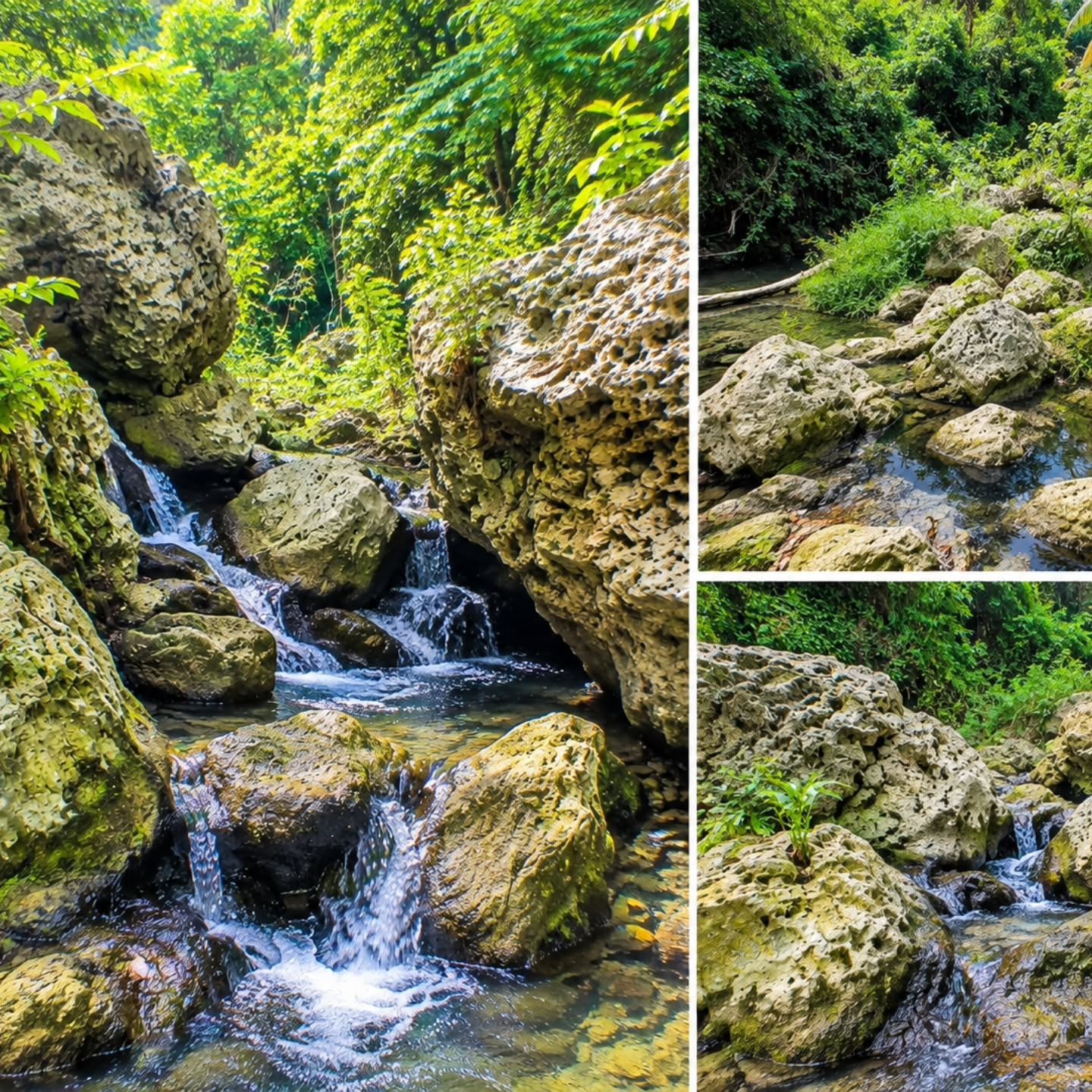 Joe's River Hike with Pineapple Hikes - $35