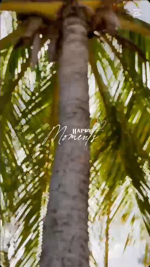 Day Pass & Staycation Specials – Sunbay Hotel Barbados (June 30 – Oct 31, 2026)